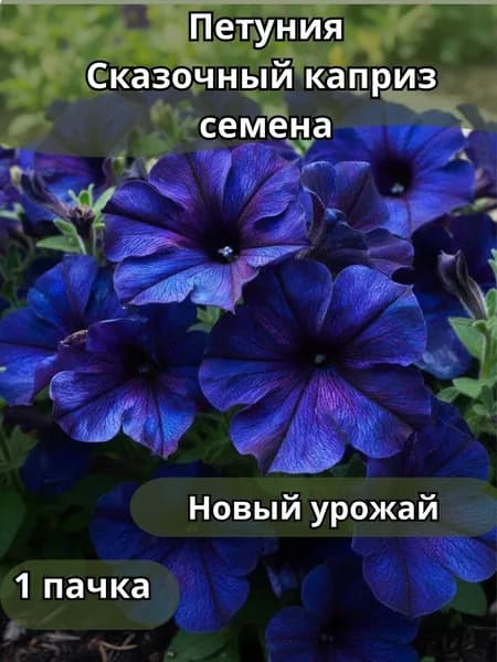 Петуния Сказочный каприз, семена 10 шт
