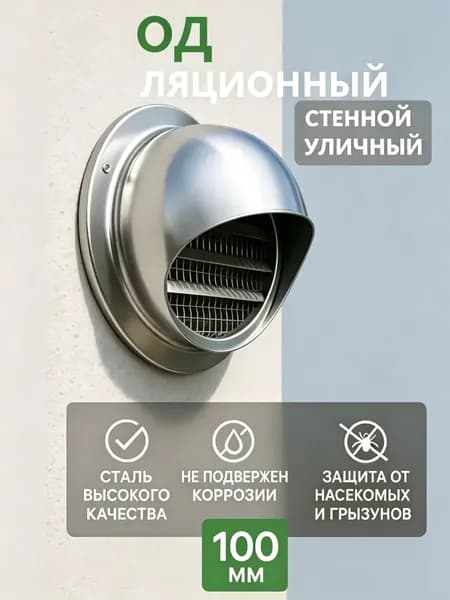 Выход стенной уличный Клапан вентиляционный 100 мм