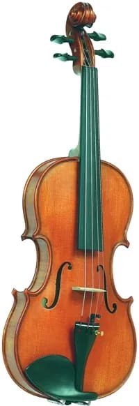 Скрипка Vasile Gliga I-V014