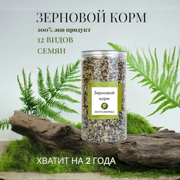 Углеводная зерновая смесь для муравьев жнецов Messor structor мессор структор