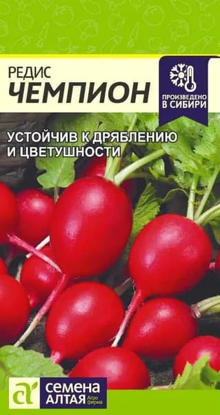 Семена Алтая Семена ,1шт