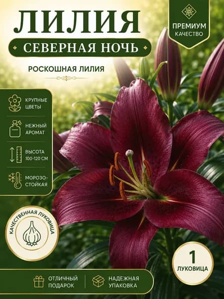 Луковицы,0.12кг