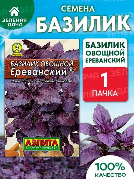 Базилик Ереванский семена на посадку