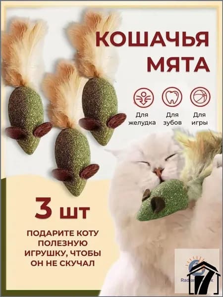 Кошачья мята, шарик мышка