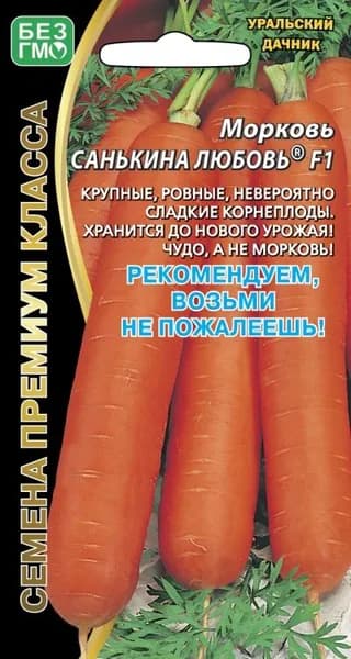 Морковь САНЬКИНА ЛЮБОВЬ F1, позднеспелый сорт Уральский дачник