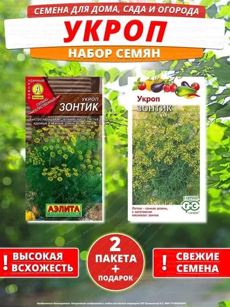 Семена укроп для дома сада посадки