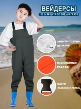 Вейдерсы