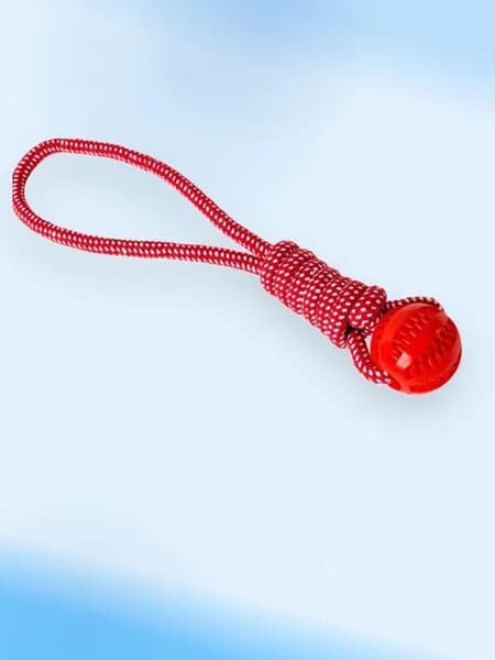 Интерактивная игрушка для щенков, очищает зубы, красный