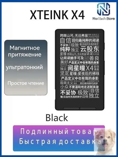 4.3" Электронная книга XTEINK X4, черный