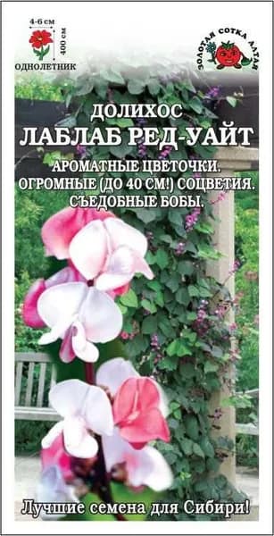 Долихос Лаблаб Ред уайт /Сотка/ 3шт/ h-см, d-6см/*