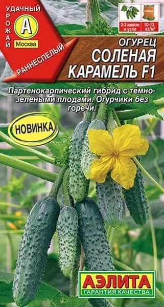 Семена Огурец Соленая Карамель F1 (10 семян) - Аэлита. Самоопыляемый, партенокарпический, букетный, для засолки