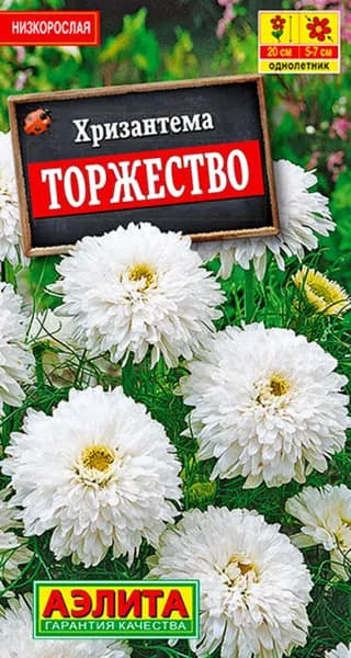 Семена Хризантема букетная Торжество (0,1г) - Аэлита