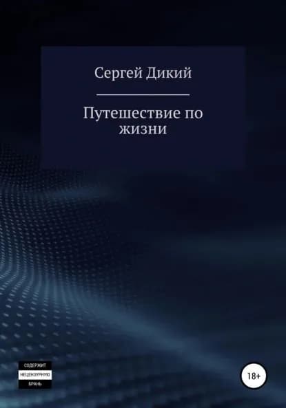 Путешествие по жизни | Дикий Сергей | Электронная книга