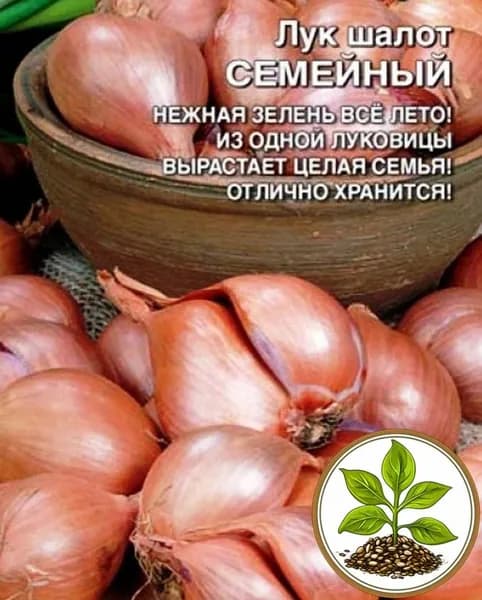 Семена коллекционные лука шалот Семейный