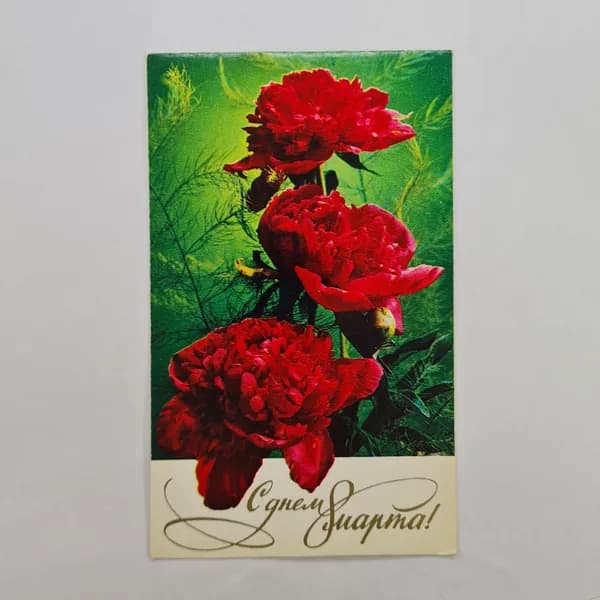 Открытка винтажная, СССР. С цветами, 1981 год, фотокомплектация Г. Костенко