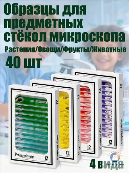 Набор микропрепаратов для микроскопа, 48 штук, насекомые и животные, для научных экспериментов и школьных исследований