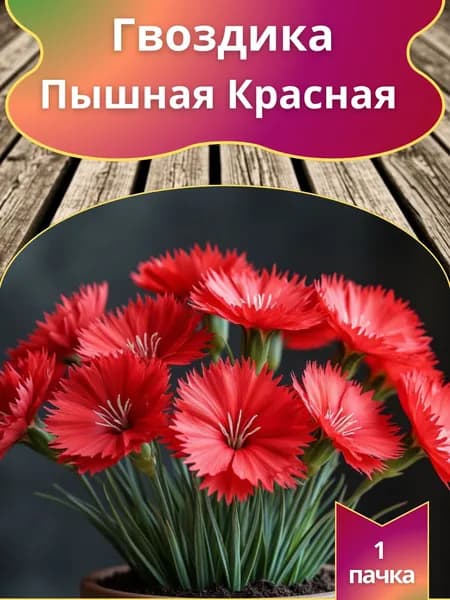Гвоздика "Пышная Красная"(семена)
