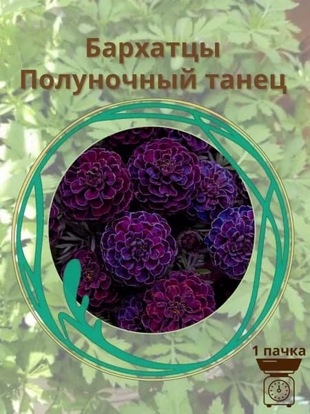 Бархатцы Полуночный танец 10 шт. семян
