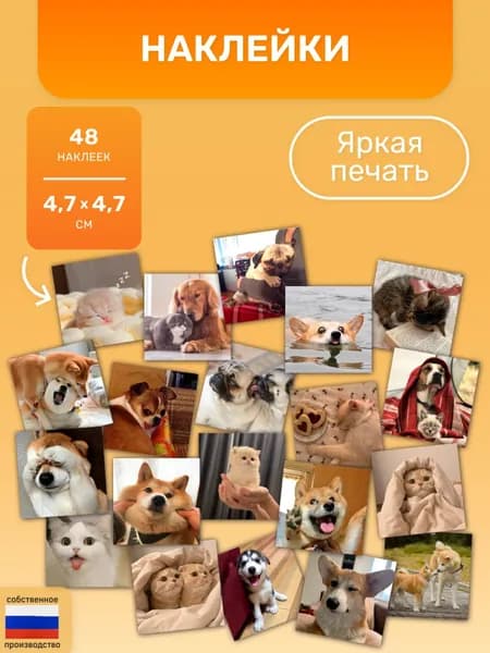 Наклейки на телефон Коты и кошки смешные и эстетичные