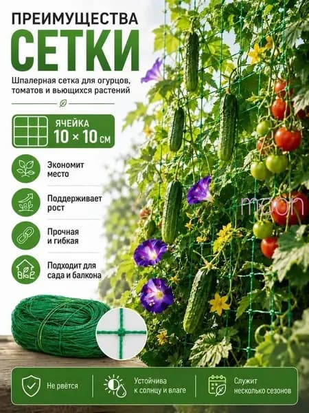 Сетка садовая ограждающая,Полиэтилен,3х2м