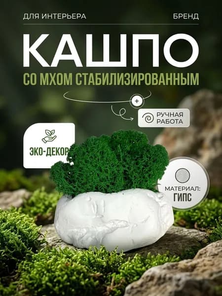 Кашпо-мини с мхом стабилизированным / Эко-декор / мох стабилизированный в кашпо / интерьерный набор