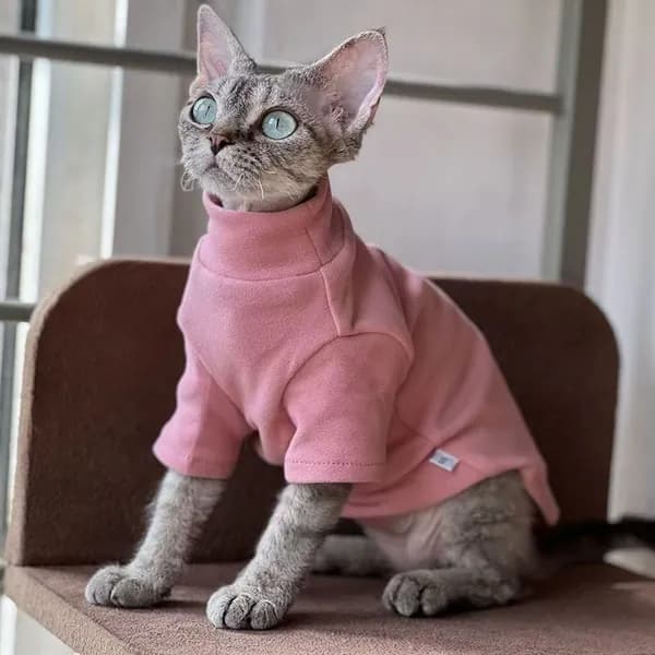 Розовая кофта для кошки Сфинкс L
