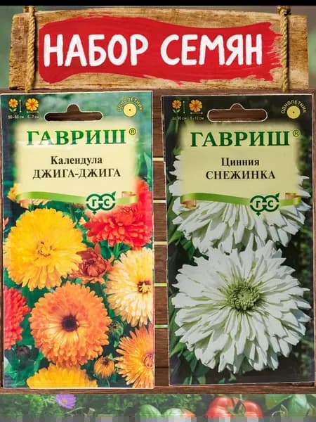 Календула Джига-Джига и цинния Снежинка