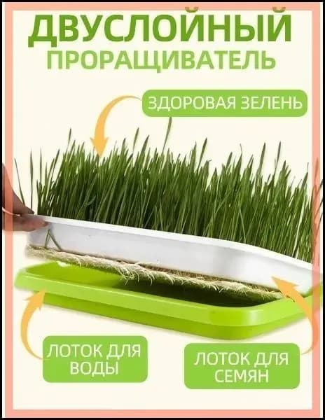 Проращиватель семян 1 шт