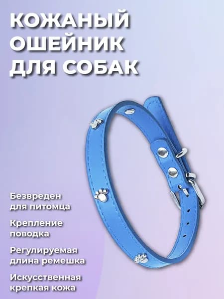 Ошейник