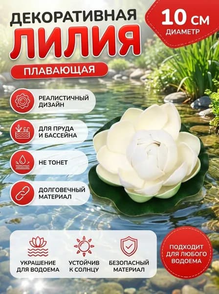 Растение водоплавающее "Кувшинка Розитта" d-10см белая