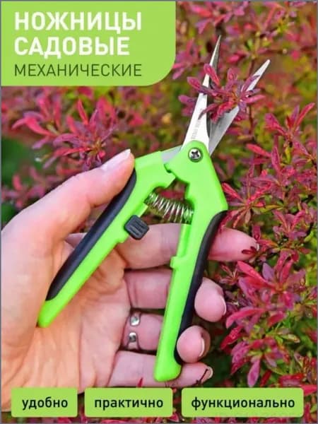 Секатор