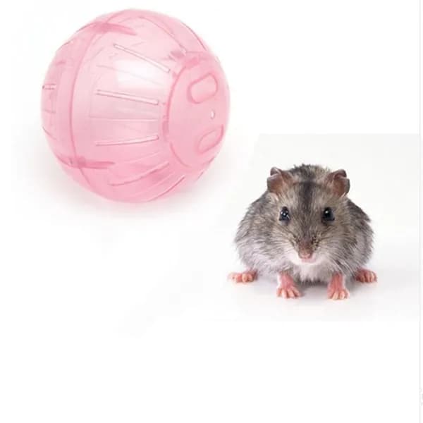 Мяч Пластиковые Pet Игрушка