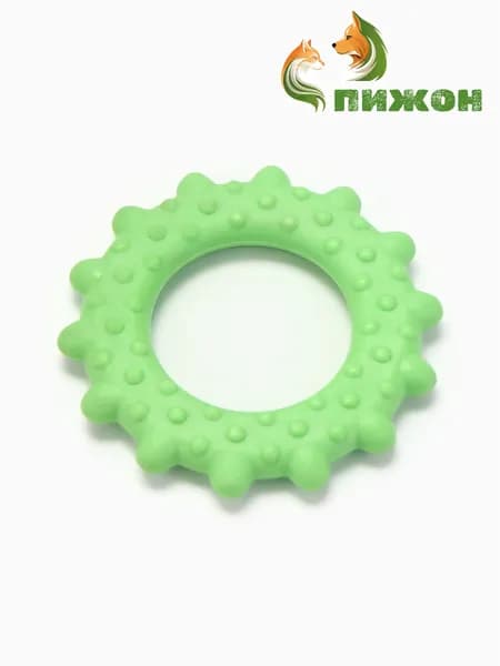 Игрушка жевательная "Кольцо с шипами", TPR, 8,5 см, зелёная