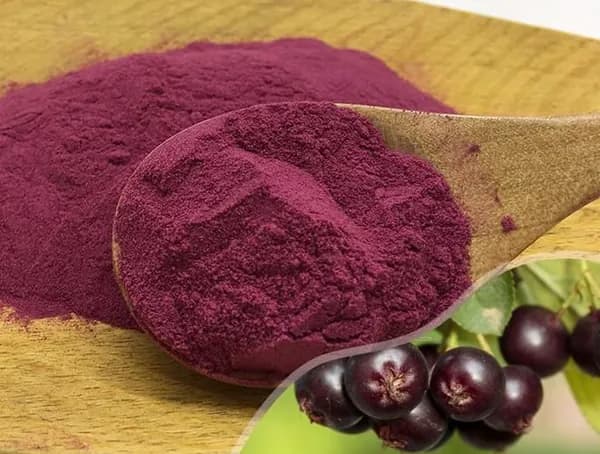 (100% Натуральный) Aronia Berry Органический порошок из ягод аронии, 0,22 фунта, Суперфуд, сублимированный, 100 грамм
