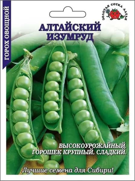 Горох Алтайский изумруд БОЛЬШОЙСотка 25г раннесп. овощ. 45-60см