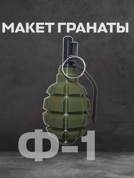 Учебный макет Ф-1