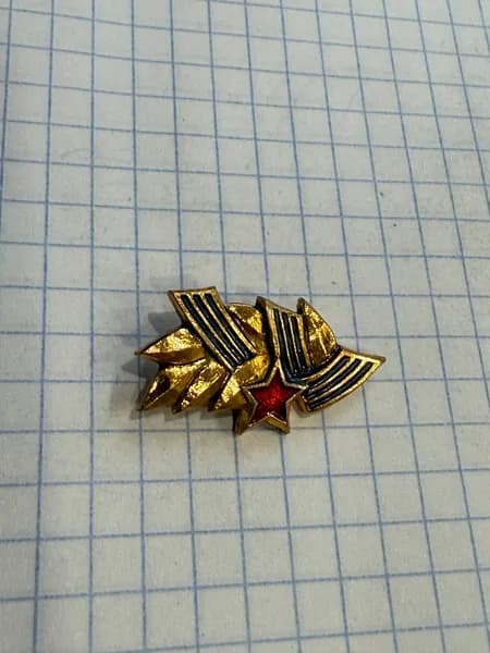 Значок "Звезда и лавровый венок"