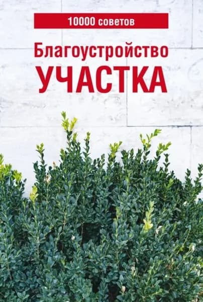 10000 советов. Благоустройство участка | Электронная книга