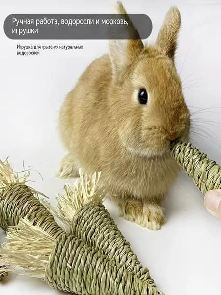 Игрушка для борьбы со скукой, которую грызет домашний питомец из моркови ручной работы