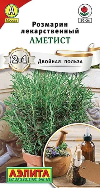Семена Розмарин Аметист (20 семян) - Аэлита