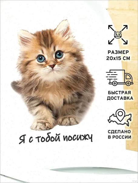 Наклейка на унитаз, в туалет, на крышку, на мебель, интерьерная.