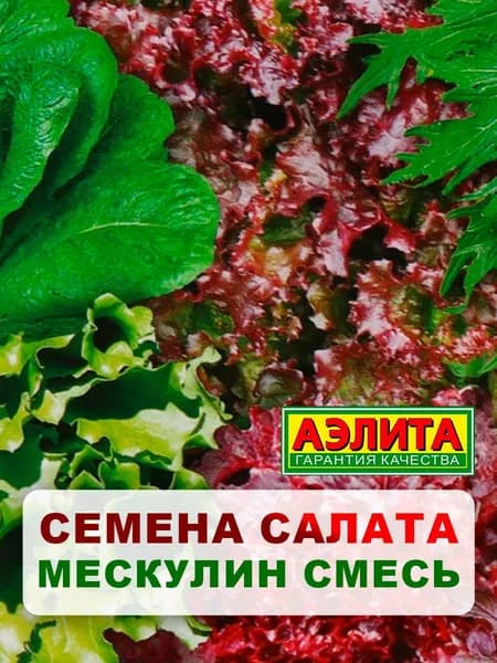 Семена смесь салатных культур "Мескулин", Смесь, 0,5 г, однолетние цветы, для дачи, сада и огорода, клумбы, в открытый грунт