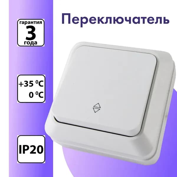 Переключатель на 2 направления одноклавишный открытой установки IP20 10А, белый Ладога TDM