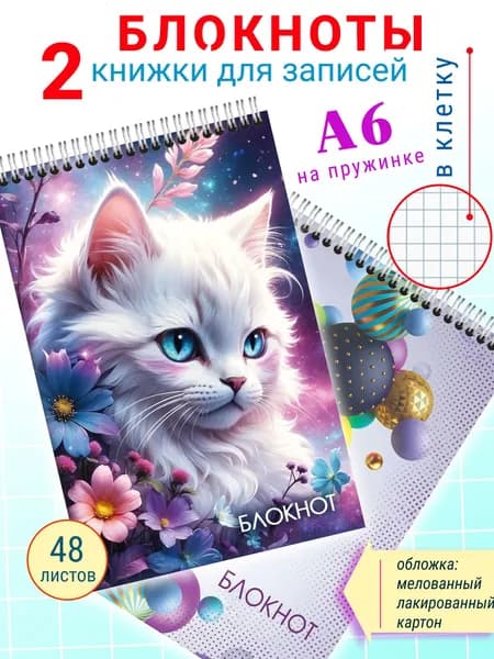 Блокнот в клетку А6 Котик на пружине для девочек, 2 шт.