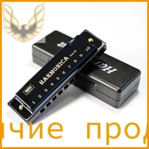 гармоника с 10 отверстиями