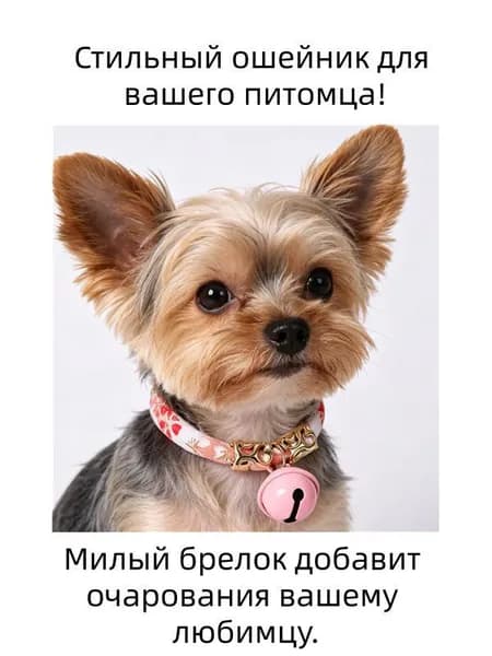 Стильный ошейник для вашего питомца!Этнический дизайн для уникального образа питомца.