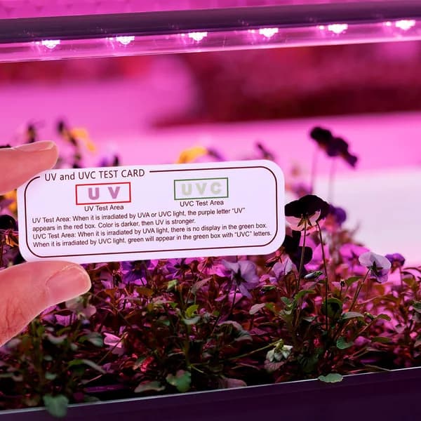 6 Штук Тестовых Карточек, Для Тестирования Uva И Uvc, Из Бумаги
