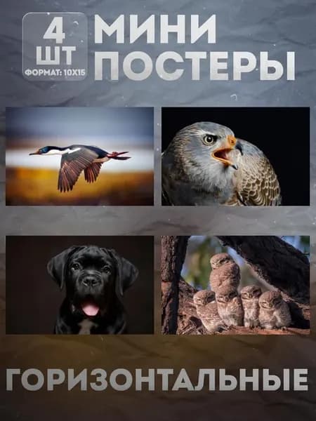 Мини постеры 10 на 15 (набор) «Животные» 4 шт