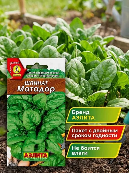 Семена Шпинат Матадор, 1 шт.