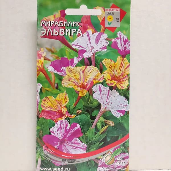 Мирабилис Эльвира, 7 семян